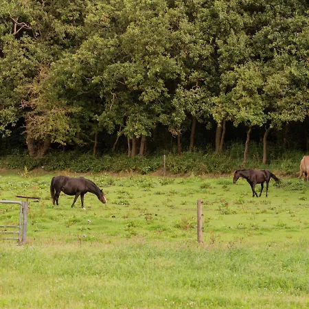 Casa vacanze Bij Het Bos Heiloo